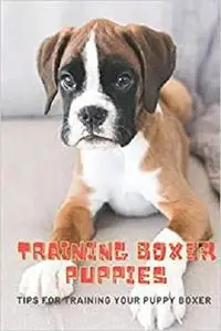 Training Boxer Puppies: Tips For Training Your Puppy Boxer