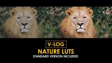 V-Log Nature and Standard LUTs 51434363