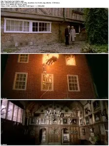 The Black Cat (1981) 