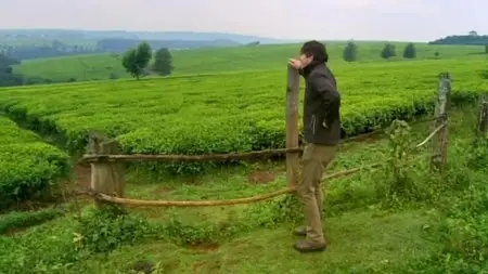 BBC This World - The Tea Trail (2013)