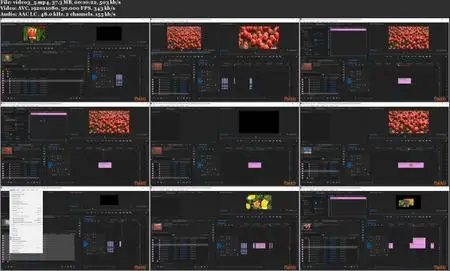 Mastering Adobe Premiere Pro CC 2020