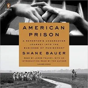 American Prison: A Reporter's Undercover Journey into the Business of Punishment [Audiobook] (Repost)