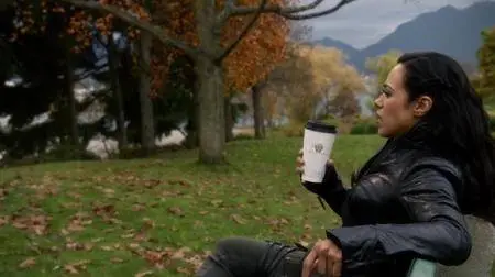 The Flash S03E11 (2017)