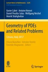 Geometry of PDEs and Related Problems: Cetraro, Italy 2017 (Repost)