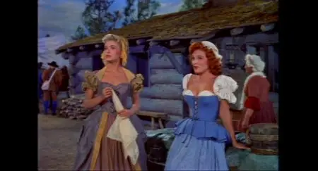 Mohawk / L'attaque de fort Douglas  (1956)
