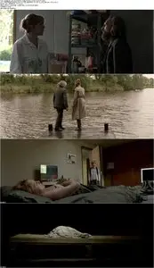 Borgman (2013)