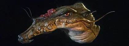 Gnomon Workshop : Gnomon Master Classes - Character and Creature Design