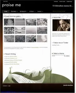 Praise – August 2009 Joomla Template