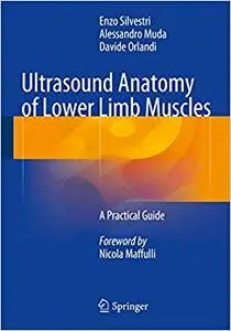 Ultrasound Anatomy of Lower Limb Muscles: A Practical Guide