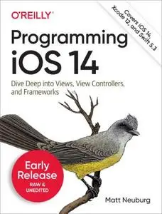 Programming iOS 14 [Early Release]