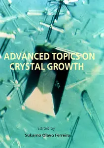 "Advanced Topics on Crystal Growth"  ed. by Sukarno Olavo Ferreira