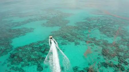 In Search Of S02E05
