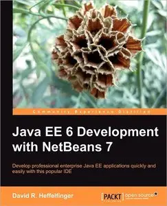 Java EE 6 Development with NetBeans 7 (repost)