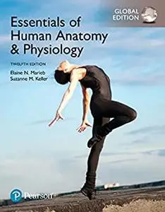 Essentials of Human Anatomy & Physiology, Global Edition (repost)