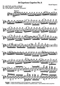 PaganiniN - 24 Caprices for Solo Violin: 02