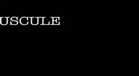 Crepuscule (2009)