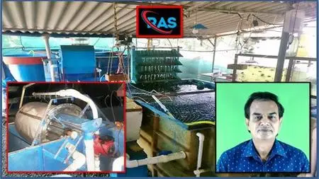 Recirculating Aquaculture System - Solid Waste Management