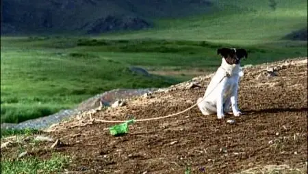 Byambasuren Davaa - Die Höhle des gelben Hundes (2005)