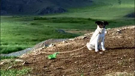 Byambasuren Davaa - Die Höhle des gelben Hundes (2005)