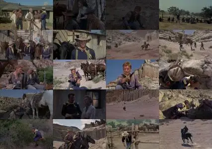 40 Guns to Apache Pass (1967)