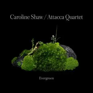 Caroline Shaw & Attacca Quartet - Caroline Shaw: Evergreen (2022) [Official Digital Download 24/96]