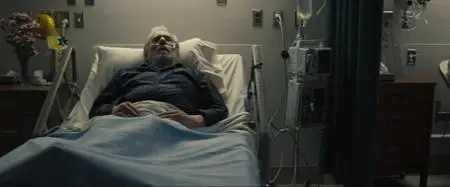 The Motel Life (2012)