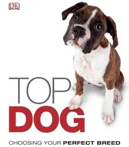 Top Dog: Choosing Your Perfect Breed
