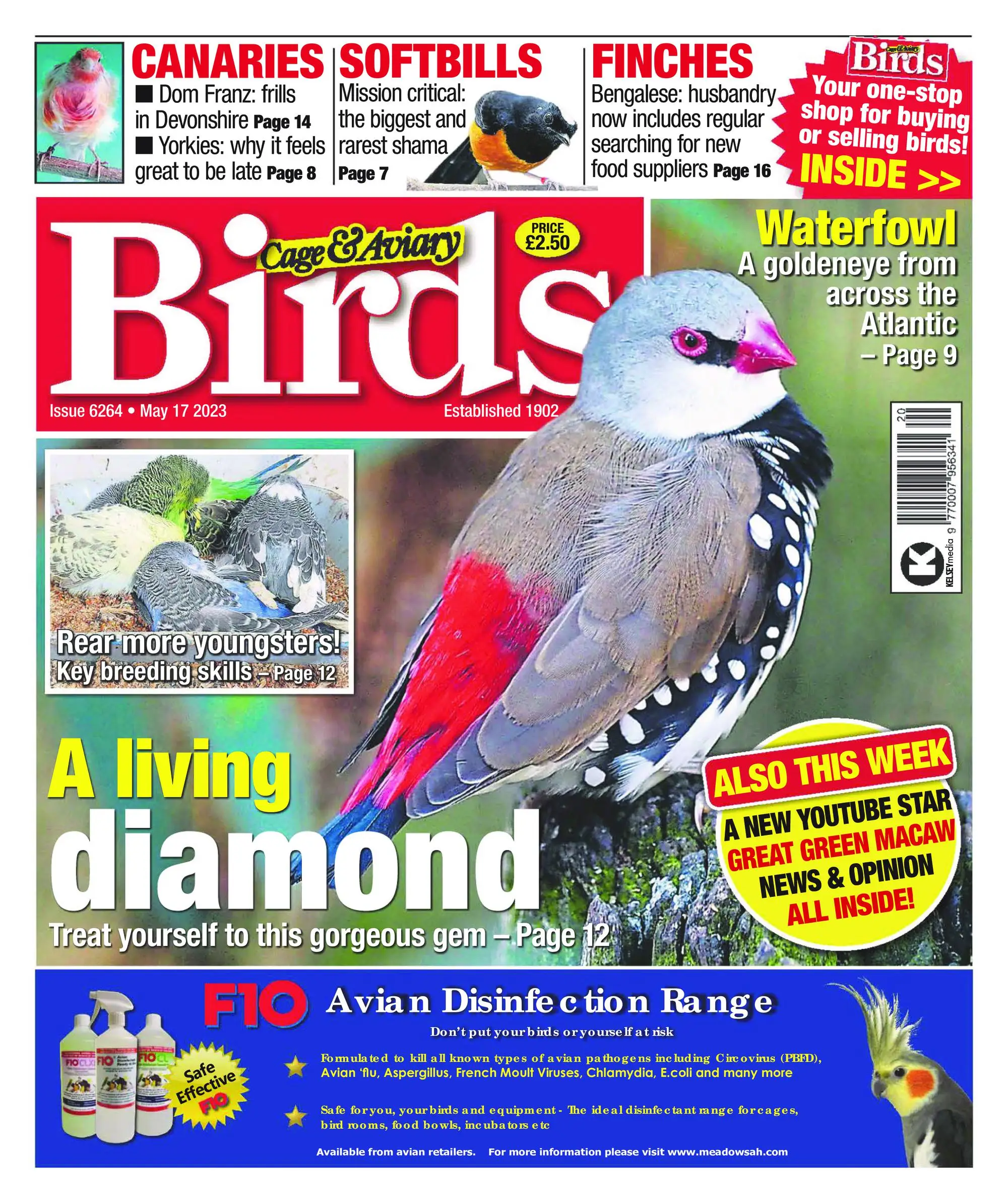 Cage & Aviary Birds – 17 May 2023