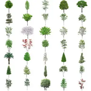 Tenkei Kobo. Cutoff Series - CS11 (Tree 3)