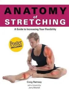 Anatomy of StretchingAnatomy of Stretching