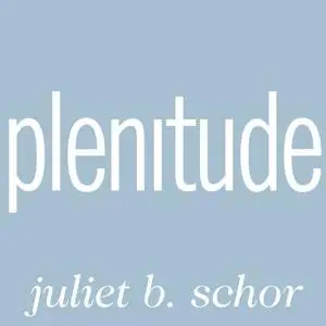 Plenitude: The New Economics of True Wealth [Audiobook]