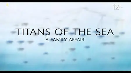 NG. - Titans of the Sea: A Family Affair (2021)