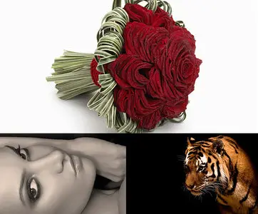 The Best Wallpapers pack 231 by nko