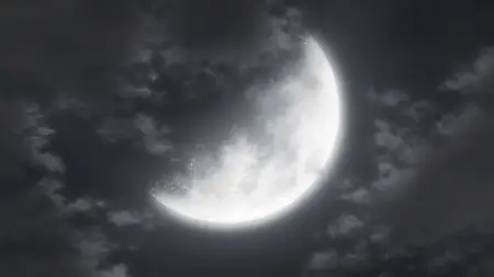 Black Butler - Book of Circus 04