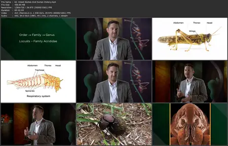 TTC Video - Why Insects Matter: Earth’s Most Essential Species