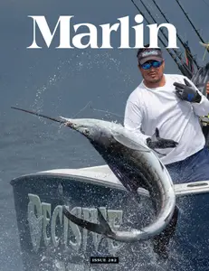 Marlin - June-July 2024