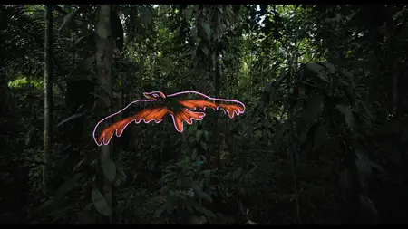 Lost in the Jungle (2025)