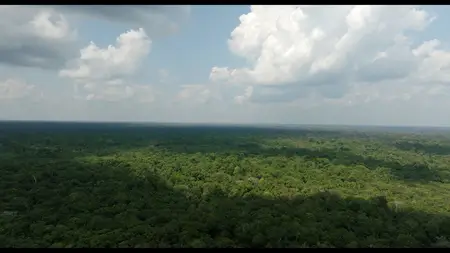 Lost in the Jungle (2025)