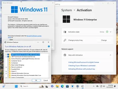 Windows 11 Enterprise 24H2 Build 26100.4946 (No TPM Required) Preactivated Multilingual August 2025