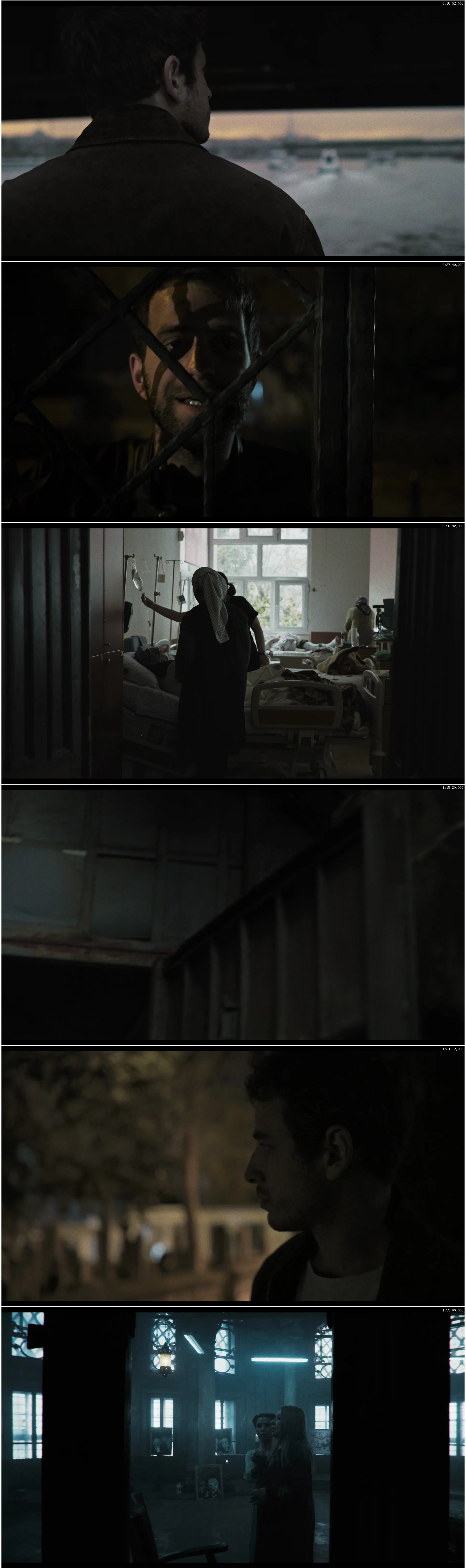 New Dawn Fades (2024)