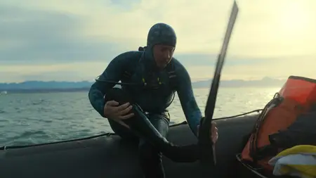 Sharks Up Close with Bertie Gregory (2025)