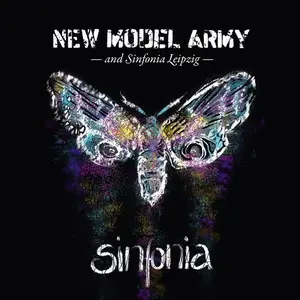 New Model Army - Sinfonia (Live) (2023) [Official Digital Download 24/48]
