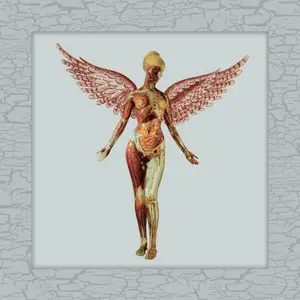 Nirvana - In Utero (30th Anniversary Super Deluxe) (3CD, 1993)