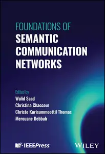 Foundations of Semantic Communication Networks