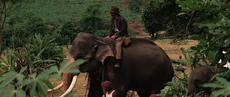 Indiana Jones and the Temple of Doom (1984)