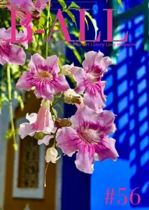 B-ALL Magazine - Mars-Mai 2026
