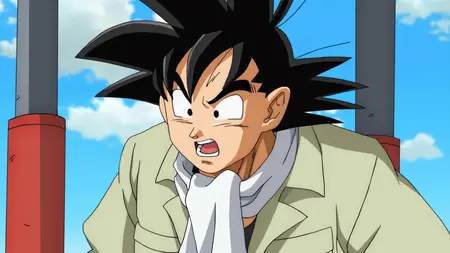 Dragon Ball Super - 016