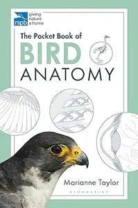 Pocket Book Of Bird Anatomy