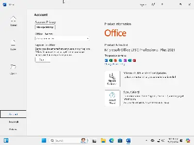 Windows 11 (No TPM Required) & Windows 10 AIO 32in1 With Office 2021 Pro Plus Multilingual Preactivated July 2024