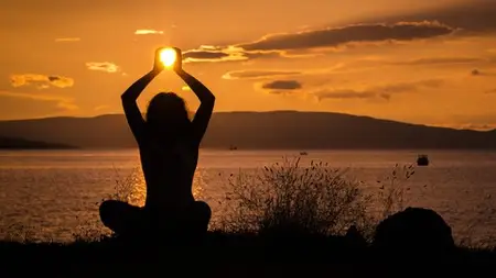 Yin Yoga & Meridian Theory - Teacher Training